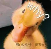 怎么开皇冠信用平台_从爆红到突然消失好几年怎么开皇冠信用平台,再出现已经胖到大家不敢认了?