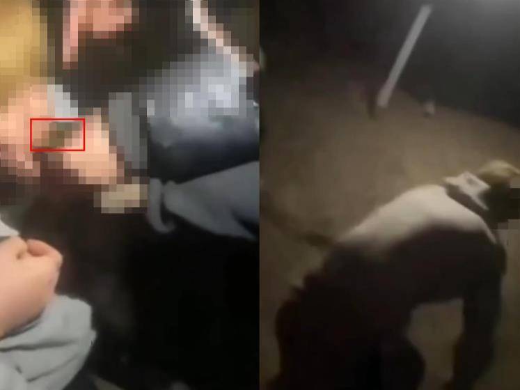 皇冠信用需要押金吗_16岁男生遭多人欺辱殴打皇冠信用需要押金吗,被逼跪地爬行学狗叫,警方:社会青年之间矛盾引起,已立案调查