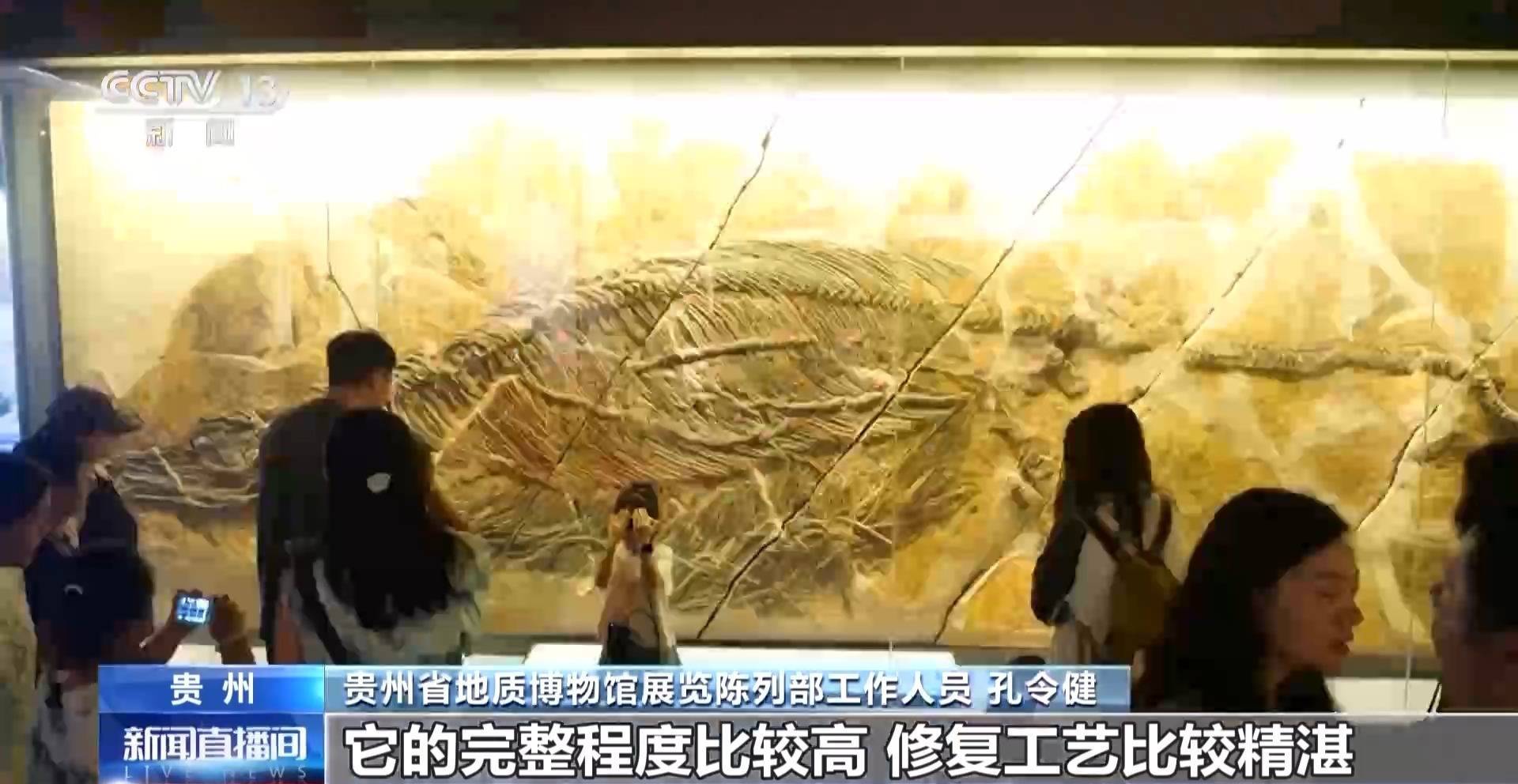 皇冠信用网登3
_文化中国行丨暑期“文博热” 各地博物馆推出多元体验新玩法