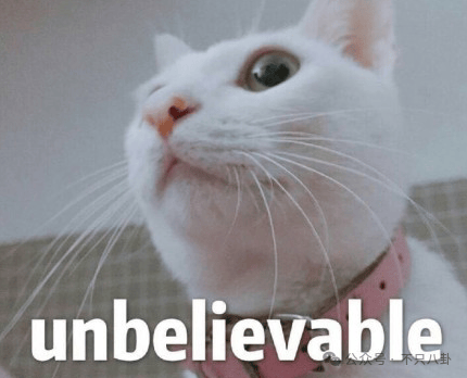 NBA篮球返水
_他俩没分手但被拍到吵架了NBA篮球返水
,吵得很凶......