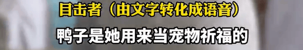 本菲卡 vs 勒洪库森
_养了四年的宠物鸭被汽车碾死本菲卡 vs 勒洪库森
,老太太当街包鸭痛哭,目击者:她老伴重病,鸭子是用来祈福的