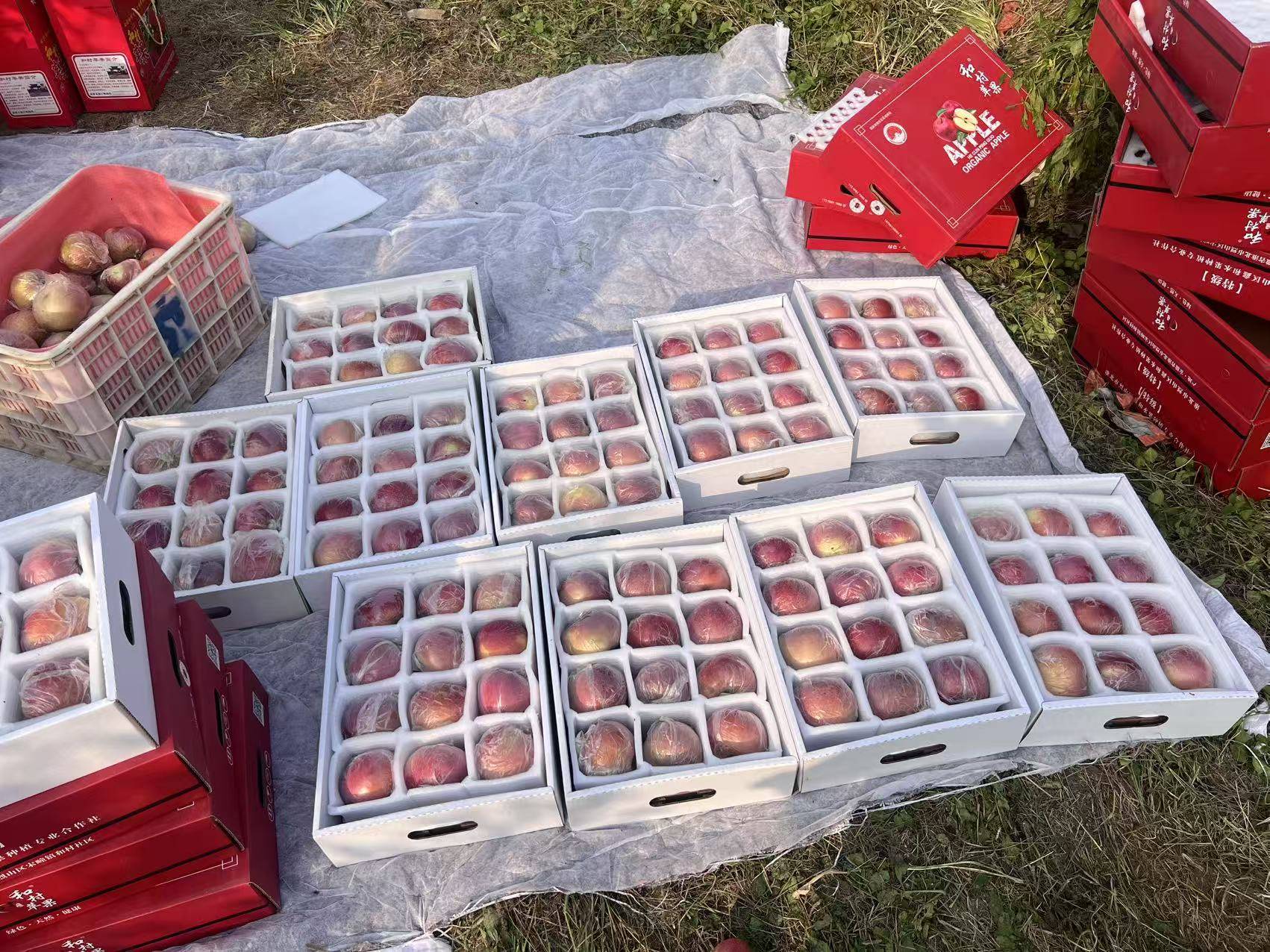 皇冠信用代理出租
_“淮北为啥不种橘子皇冠信用代理出租
?”果农:因为我们有更甜的王牌