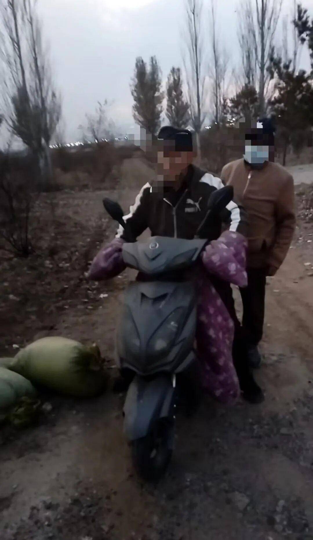 皇冠信用网
_百亩向日葵遭村民哄抢皇冠信用网
,损失50万元!警方已行拘4人