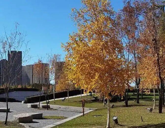 皇冠信用網登123出租
_气温“断崖跌”皇冠信用網登123出租
！16日起哈尔滨迎雨雪大风 保暖防滑要记牢