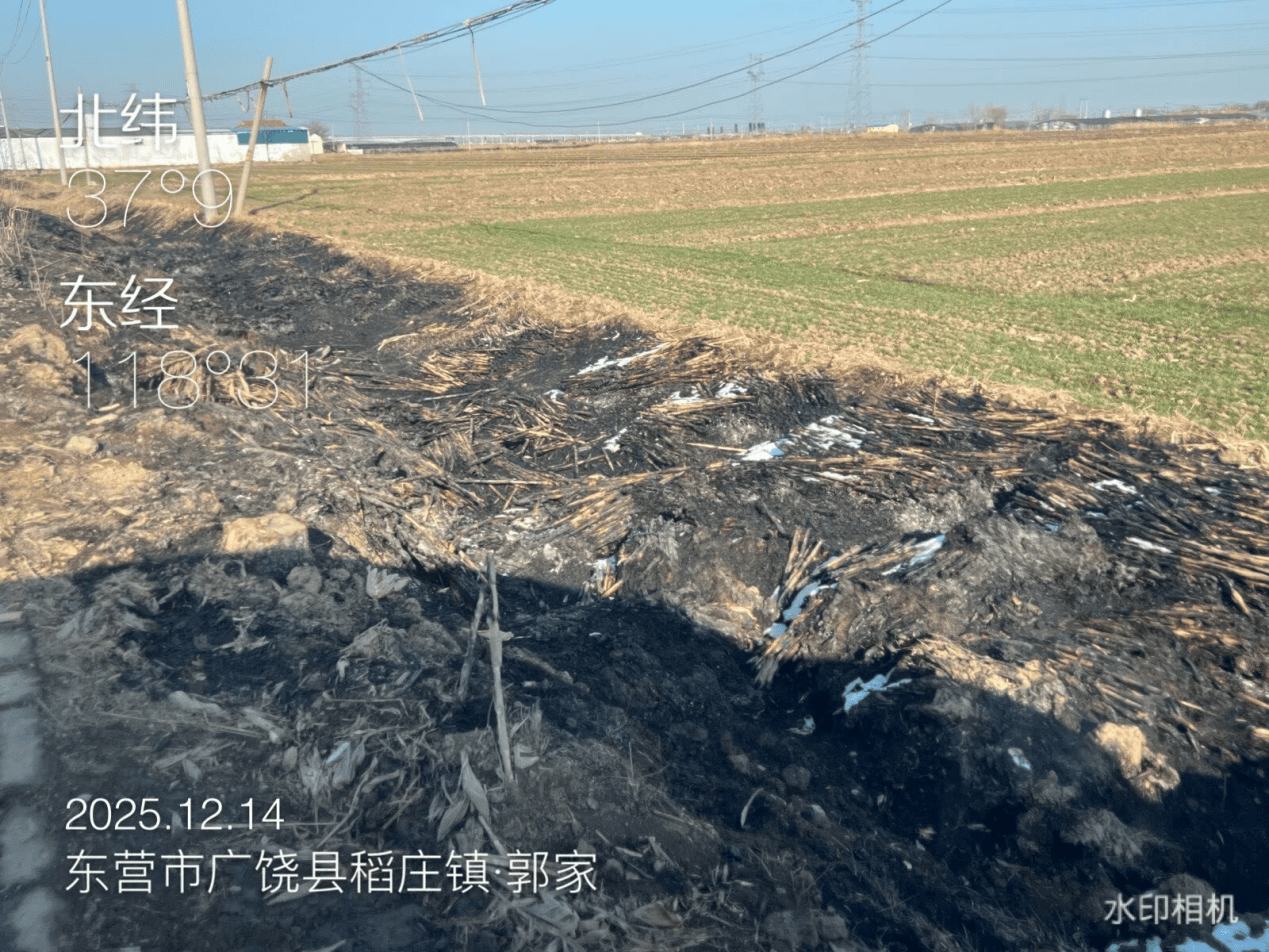 皇冠信用网代理登1_广饶县:农村人居环境亟待提升