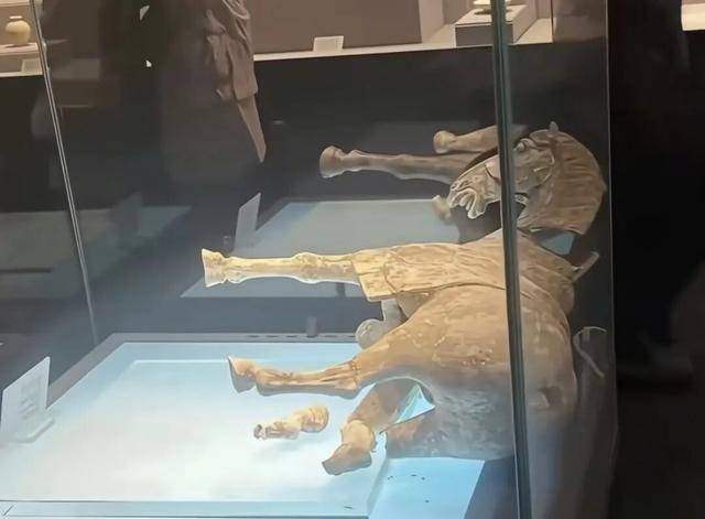 介绍个信用盘网址_唐代彩绘陶马倾倒介绍个信用盘网址,洛阳博物馆回应!